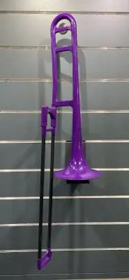pBone - PBONE1P