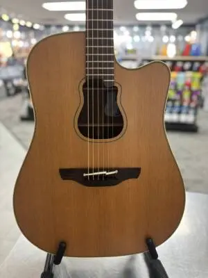 Takamine- Garth Brooks 2