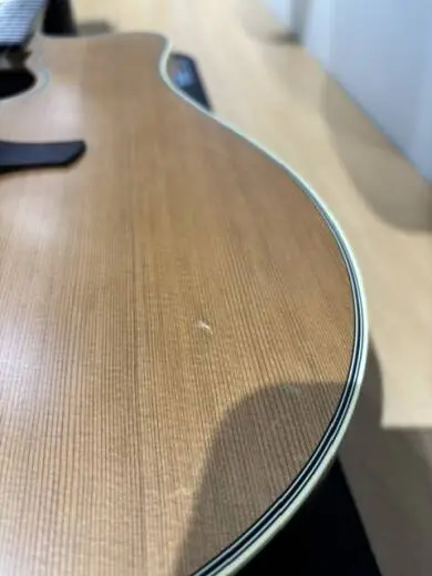 Takamine- Garth Brooks 2