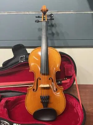Eastman Strings - VL80LM 1/2 OF 2