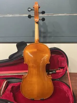 Eastman Strings - VL80LM 1/2 OF 2