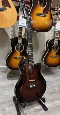 Taylor Guitars - T5Z CLASSIC DLX
