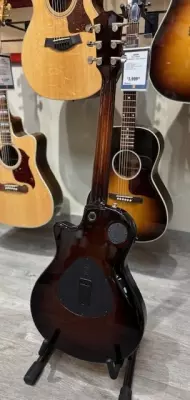 Taylor Guitars - T5Z CLASSIC DLX 5