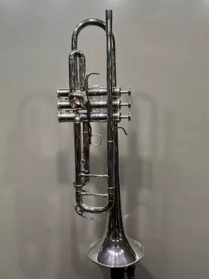 Yamaha Band - YTR8335GSII 2