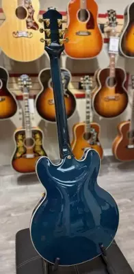 Epiphone - EOSHVPBGH 4