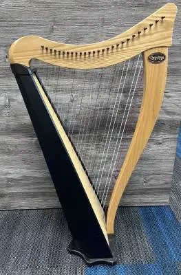 Dusty Strings - RAVENNA 26 FULL 2