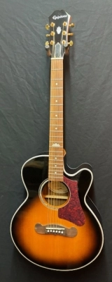 Store Special Product - Epiphone - MJ200CEVSGH