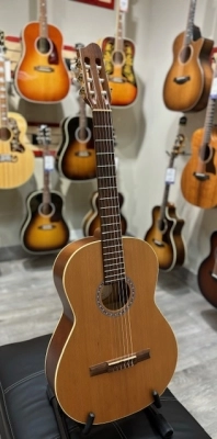 Godin Guitars - G49707 2