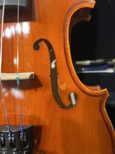 Store Special Product - Eastman Strings - VL80LM 1/2 OF