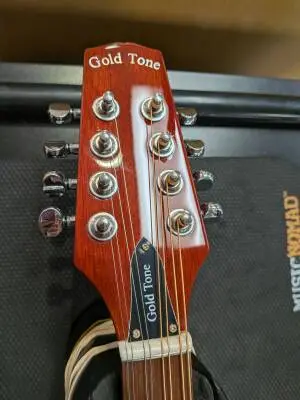 Gold Tone - BZ-500LH 2