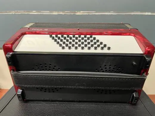 Weltmeister Perle 48 Bass Piano Accordion 2