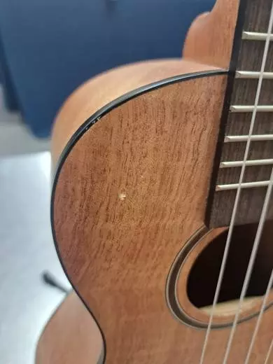 Kala - Exotic Mahogany Concert Ukulele 2