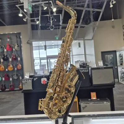 Store Special Product - Carlton - CAS100