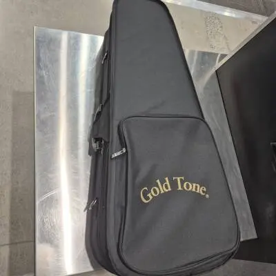 Store Special Product - Gold Tone - GT-F6