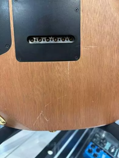 Store Special Product - CHARVEL PM DK24 HSH 2PT CM NAT MAH