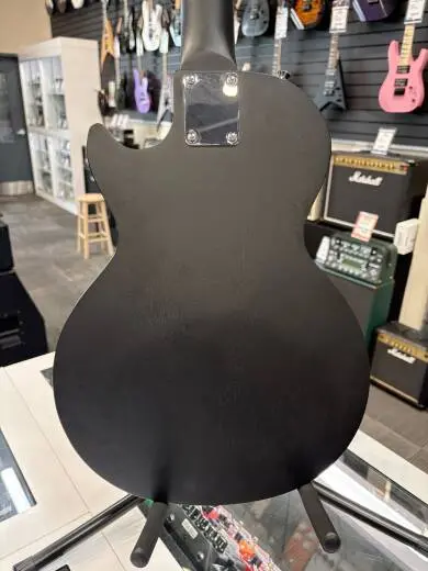 Epiphone - ELPSLEBCH 2