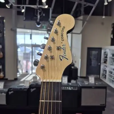 Fender Concord Acoustic (Late 80's) 2