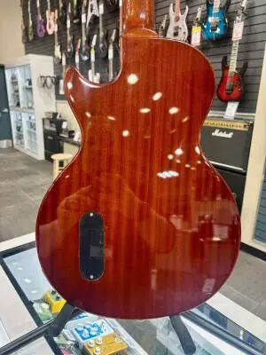 Epiphone - EILJVSNH 2