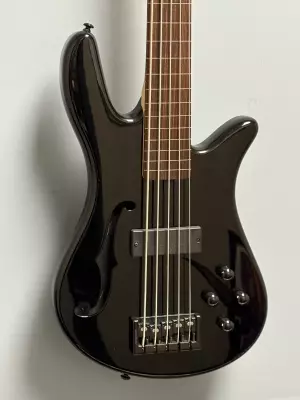 Spector SpectorCore 5 FL Fretless Bass 2