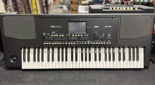 Korg - PA300