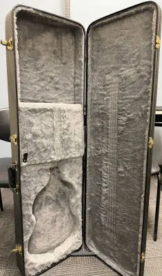 Epiphone - EBVIVSCH 2