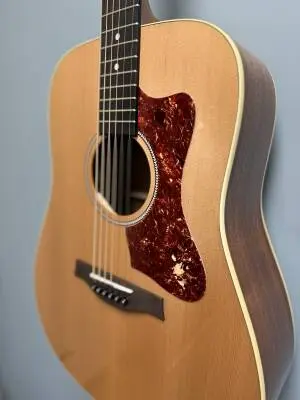 Godin Guitars - G53896 2