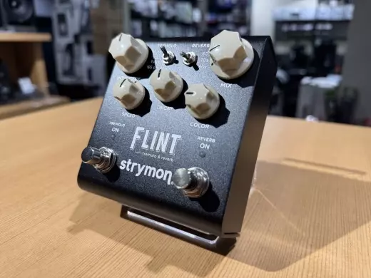 Strymon - FLINT 2