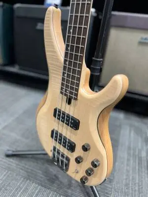 Yamaha - TRBX604FM NS 2