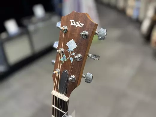 Taylor Academy 12E V3 Grand Concert Spruce/ Sapelle 4