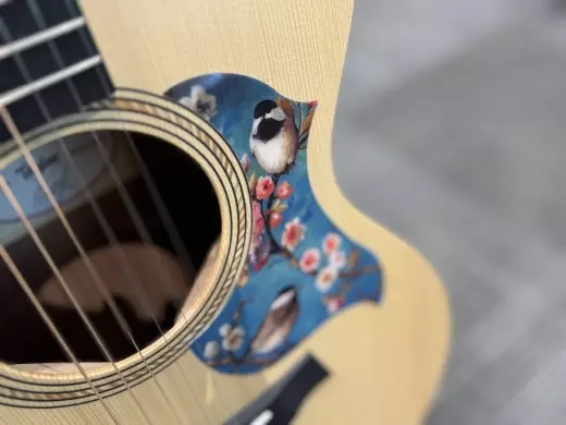 Taylor Academy 12E V3 Grand Concert Spruce/ Sapelle 5
