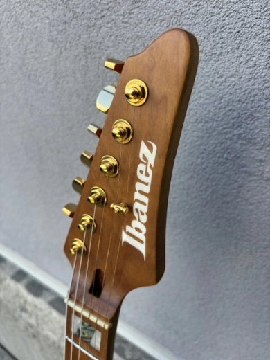 Ibanez Tim Henson Signature 2