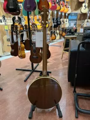 Fender - 5 STRING BANJO 2