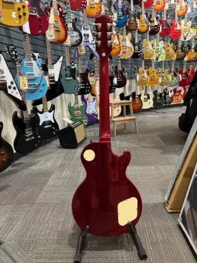 Epiphone - ELPROHSNHLH 2