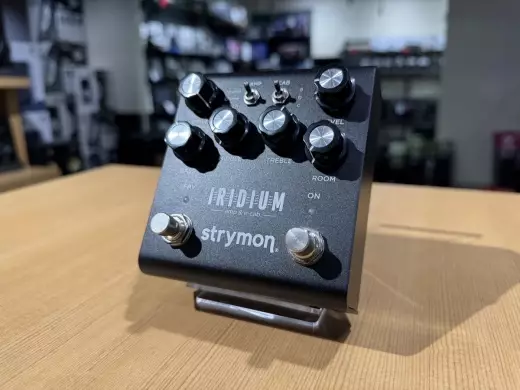 Strymon IRIDIUM Amp Sim Pedal 2