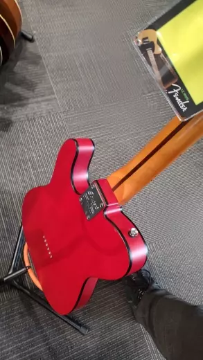 Squier - 037-9501-554 2