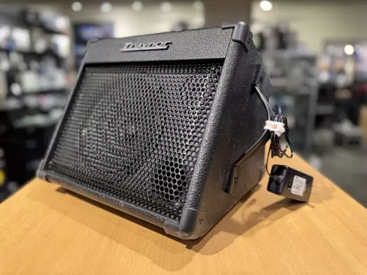 Traynor Travelmate Battery Powered Amp 2