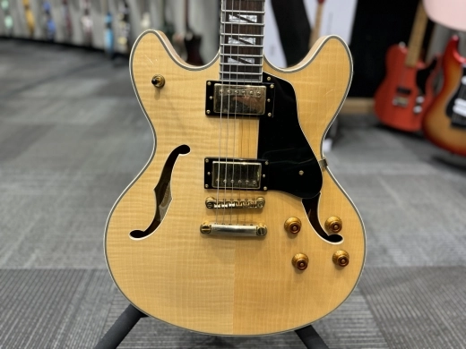 WASHBURN HB-35 SEMI-HOLLOW 3