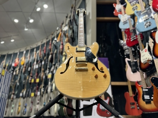 WASHBURN HB-35 SEMI-HOLLOW