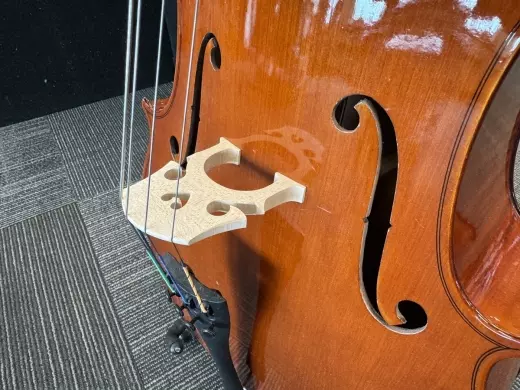 SCHOENBACH 40/7 3/4 CELLO OUTFIT 2