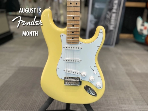 FENDER MONTH - FENDER PLAYER STRAT MN BCR