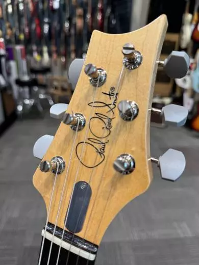 PRS Guitars - 107150::J4:13W 2