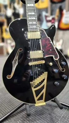 D'angelico Excel SS Black 2