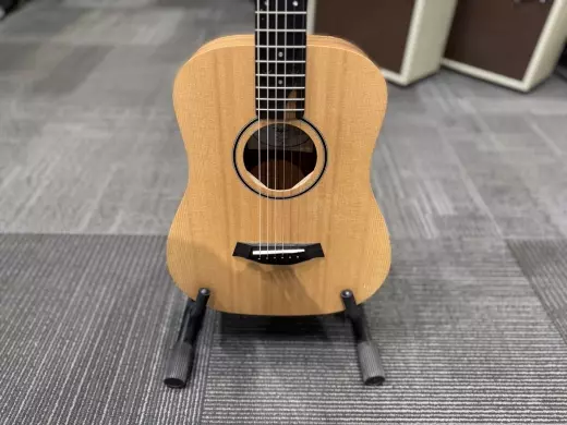 Taylor Guitars - BT1 WALNUT 2