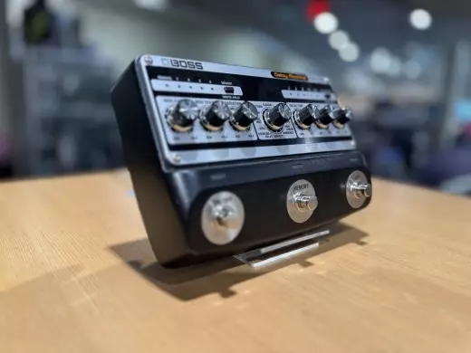 BOSS - DM-101 3