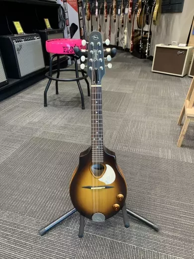 Seagull Guitars - S42500 2