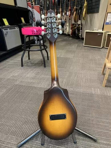 Seagull Guitars - S42500