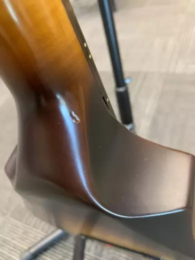 Seagull Guitars - S42500 2