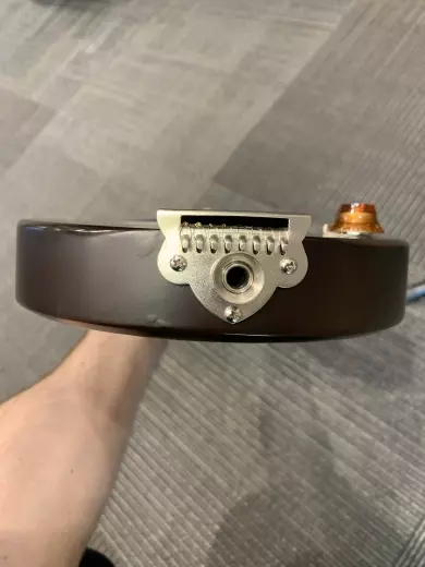 Seagull Guitars - S42500 2