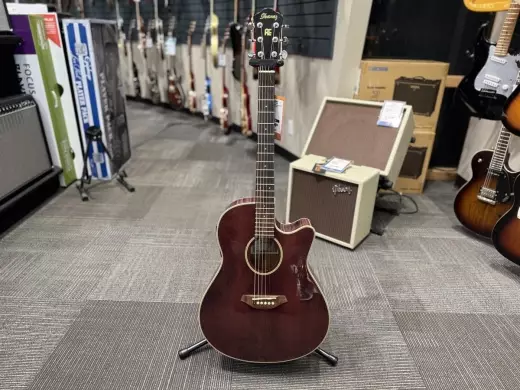 Ibanez AEM20 Acoustic Guitar w/ Case