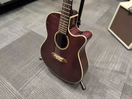 Ibanez AEM20 Acoustic Guitar w/ Case 2